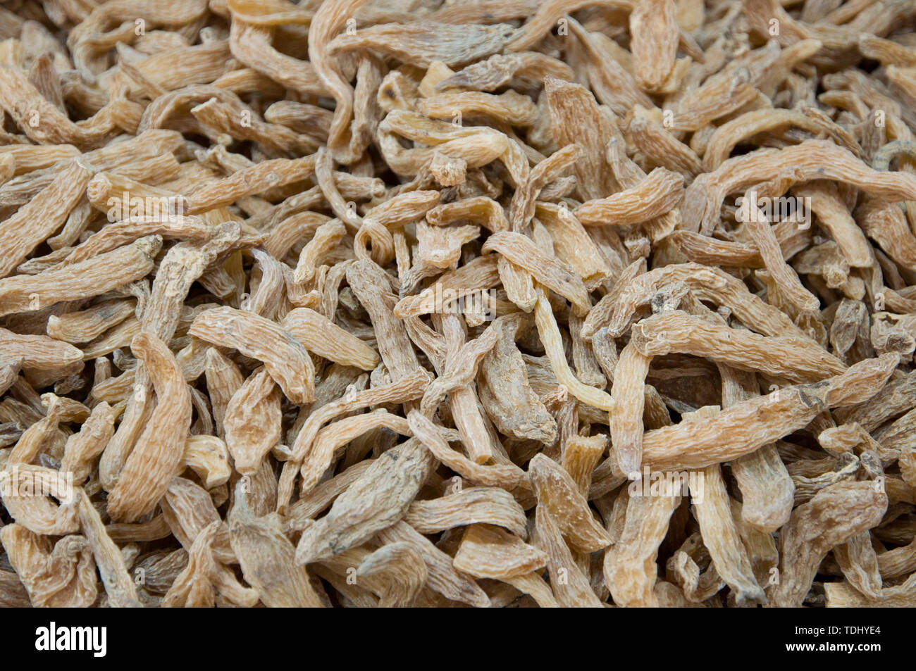 Gastrodia artemisiae Foto Stock