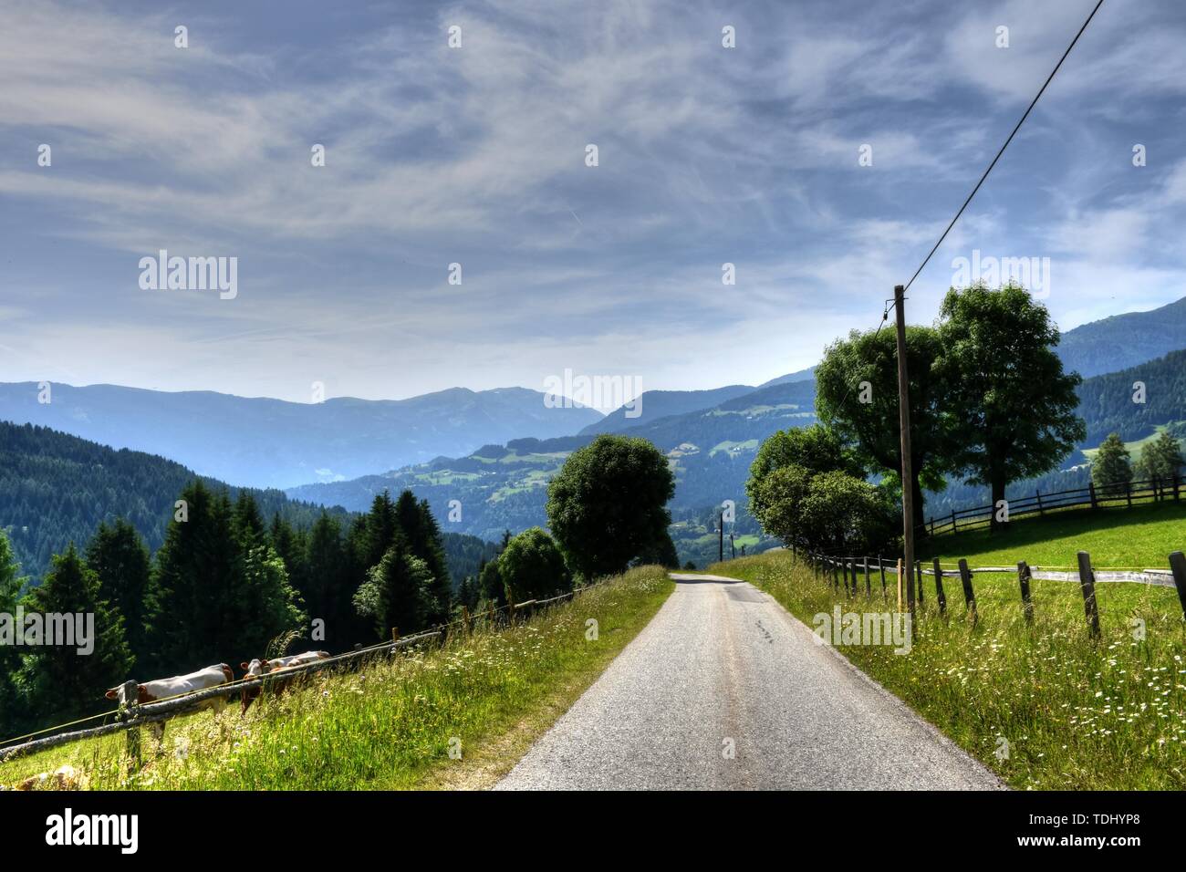 Kärnten, Ernte, Heuernte, MAHT, Bergbauer, Hügel, Berge, Alpen, Landwirtschaft, Haus, Landstraße, Bergstraße, Gerlitzen, Gerlitzenstraße, Nockberge, G Foto Stock