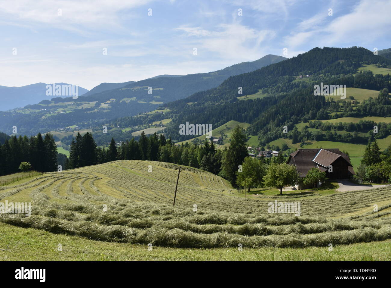 Kärnten, Ernte, Heuernte, MAHT, Bergbauer, Hügel, Berge, Alpen, Landwirtschaft, Haus, Landstraße, Bergstraße, Gerlitzen, Gerlitzenstraße, Nockberge, G Foto Stock