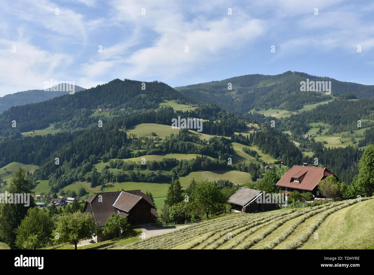 Kärnten, Ernte, Heuernte, MAHT, Bergbauer, Hügel, Berge, Alpen, Landwirtschaft, Haus, Landstraße, Bergstraße, Gerlitzen, Gerlitzenstraße, Nockberge, G Foto Stock