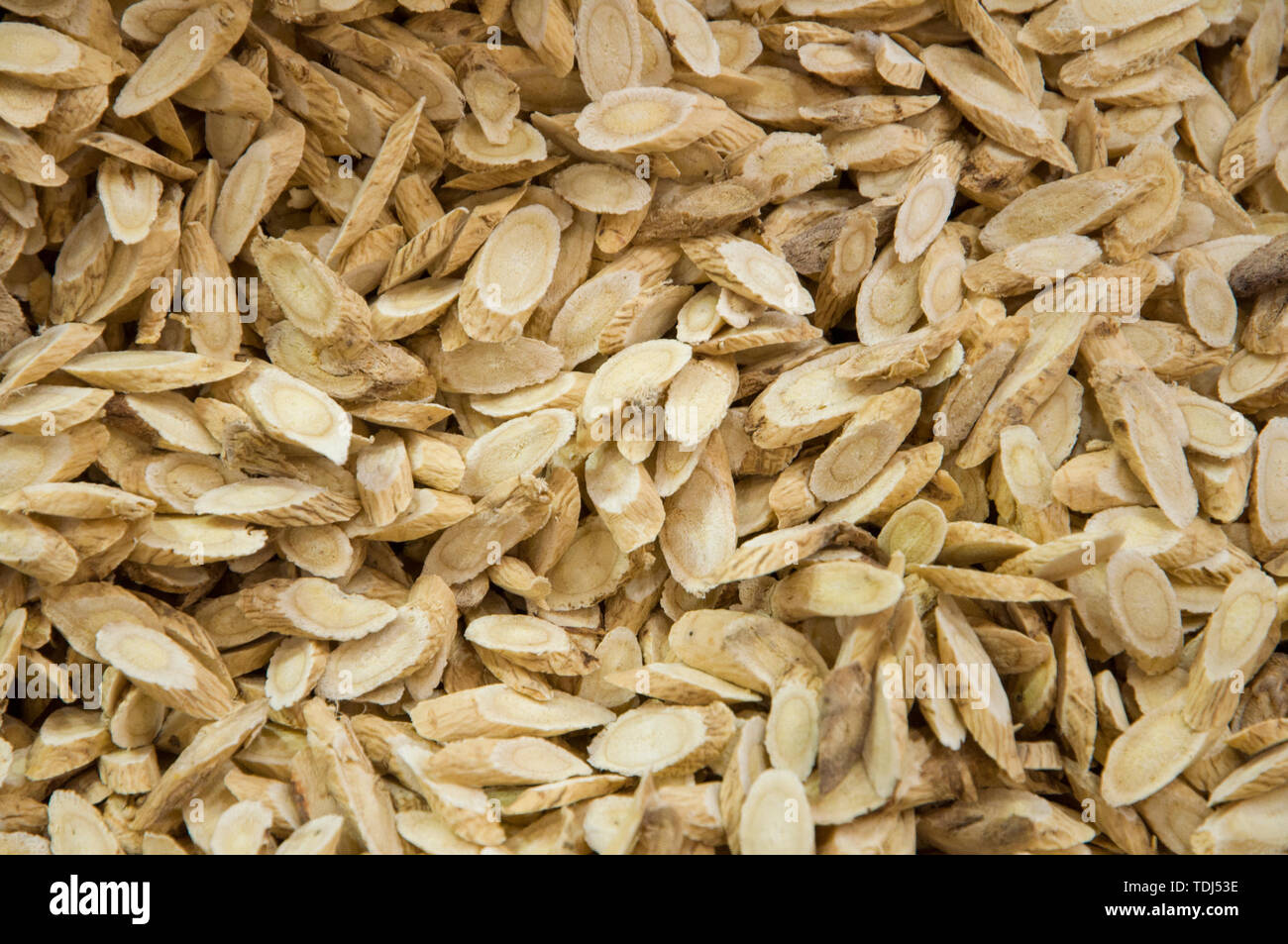 Astragalo membranaceus Foto Stock