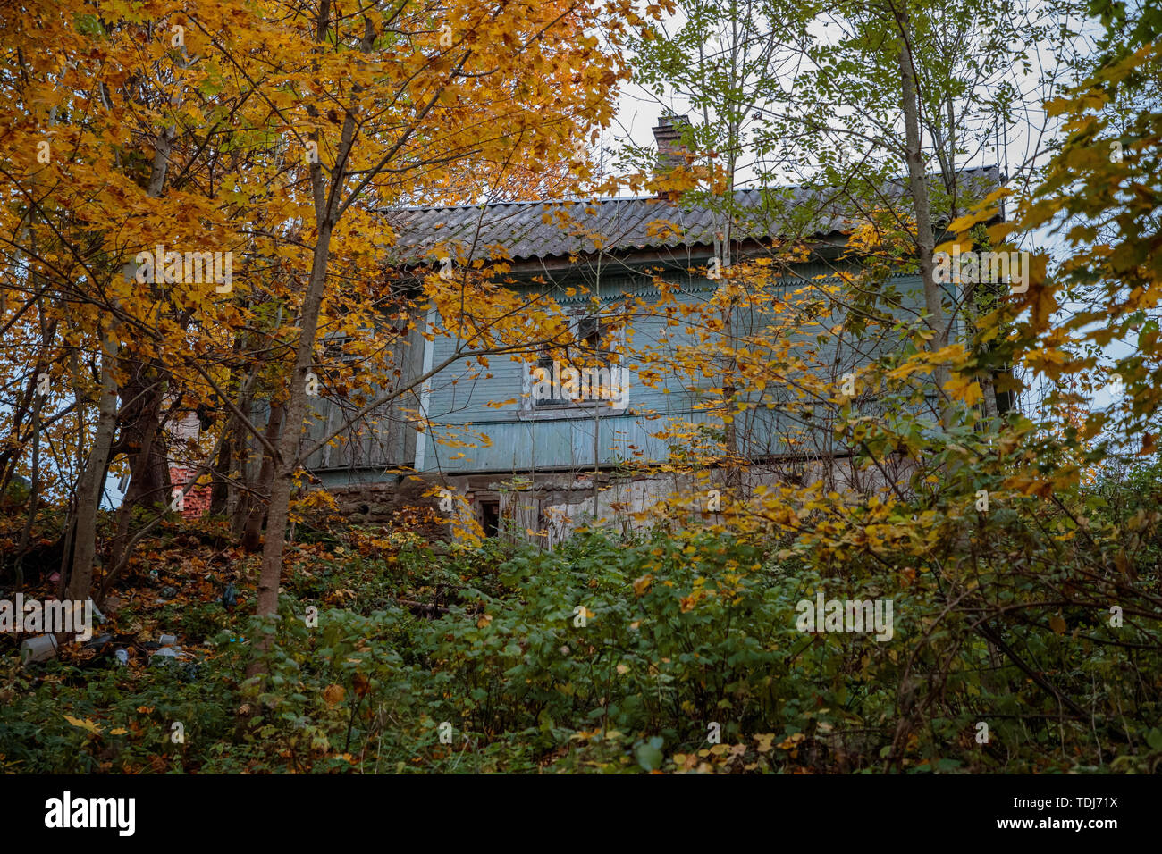Blu e casa di legno nella foresta di giorno Foto Stock
