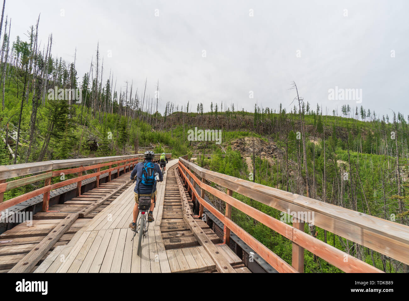 Matura in bicicletta su uno dei tanti tralicci dell'Kettle Valley Railway (KVR) una ferrovia abbandonata convertito ad un escursionismo/mountain bike trail. Foto Stock