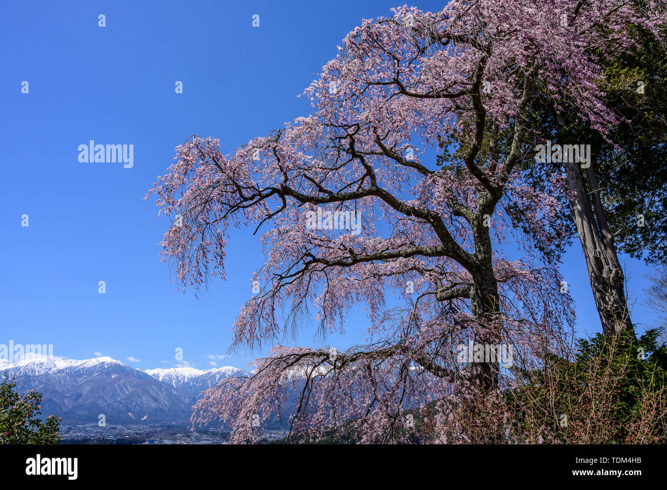 Scenario da Seirin-ji, Prefettura di Nagano, Giappone Foto Stock