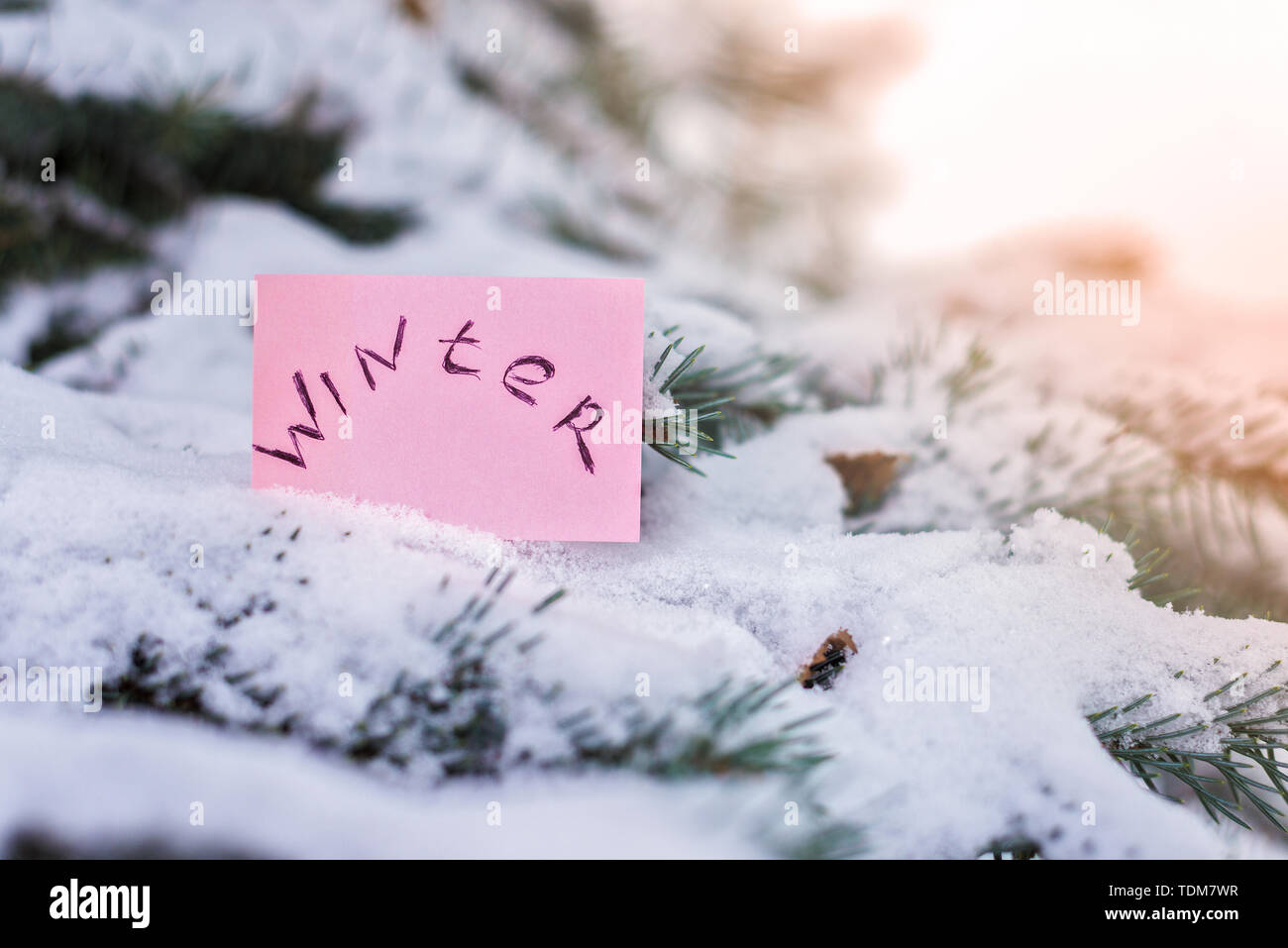 Albero di natale nella neve con un adesivo e le parole di inverno sfondo. Foto Stock