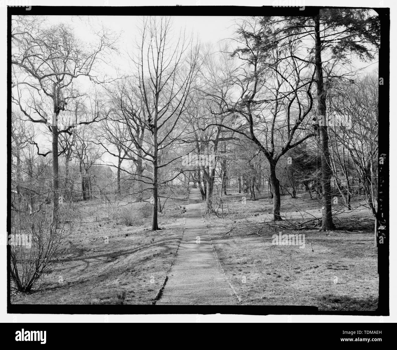 Percorso ALLINEATO CON PICNIC PAVILION guardando verso sud-ovest dalla sponda orientale del giardino botanico - John Bartram Casa e giardino, 54th Street e Lindbergh Boulevard, Philadelphia, Contea di Philadelphia, PA; Bartram, John; Bartram, William; Eastwick, Andrew; Carr, Ann Bartram; Carr, Robert; Bartram, John; Carr, John Bartram; Meehan, Thomas; Sargent, Charles S; John Bartram associazione; friggere, Joel T, storico; Elliott, Giuseppe, fotografo; Calderon, David delineatore; Arzola, Robert R, responsabile di progetto Foto Stock