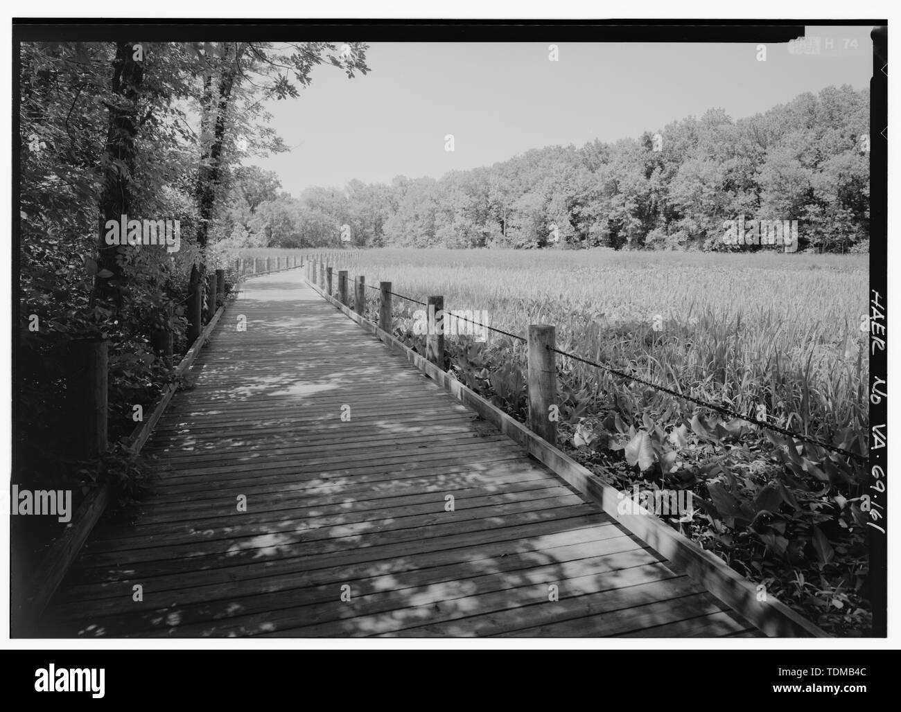 Ponte pedonale su DYKE MARSH guardando verso sud. - George Washington Memorial Parkway, lungo il fiume Potomac da McLean a Mount Vernon, VA, Mount Vernon, Fairfax County, VA; Mount Vernon Avenue associazione; U.S. Esercito di ingegneri; U.S. Ufficio di presidenza di strade pubbliche; Clarke, Gilmore; Downer, Jay; Toms, R E; Johnson, J W; Simonson, Wilbur; McNary, J V; Barton, Clara; Mount Vernon Ladies Association; Garden Club of America; le Figlie della Rivoluzione Americana; Regno Figlie della Confederazione; Colonial Dames of America; Associazione per la preservazione delle antichità della Virginia; McMillan Commiss Foto Stock