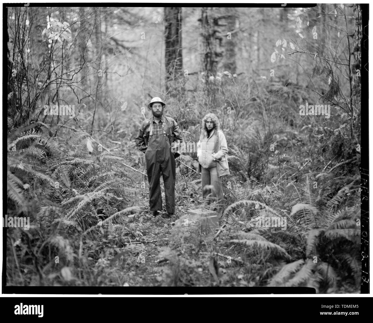 Punto foto -12 - 662 metri ad est della città DOLPH, guardando ad Est - Dolph strada a pedaggio, autostrada Statale 22 prossimità, Sinslaw National Forest, Hebo, Tillamook County, o Foto Stock