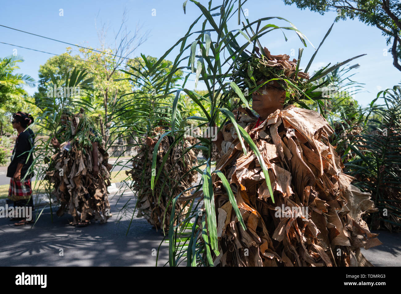 DENPASAR/BALI-Giugno 15 2019: Baris Memedi o Keraras, una danza con costumi realizzati da essiccato foglie di banano. È una magica danza che introduce la sp Foto Stock