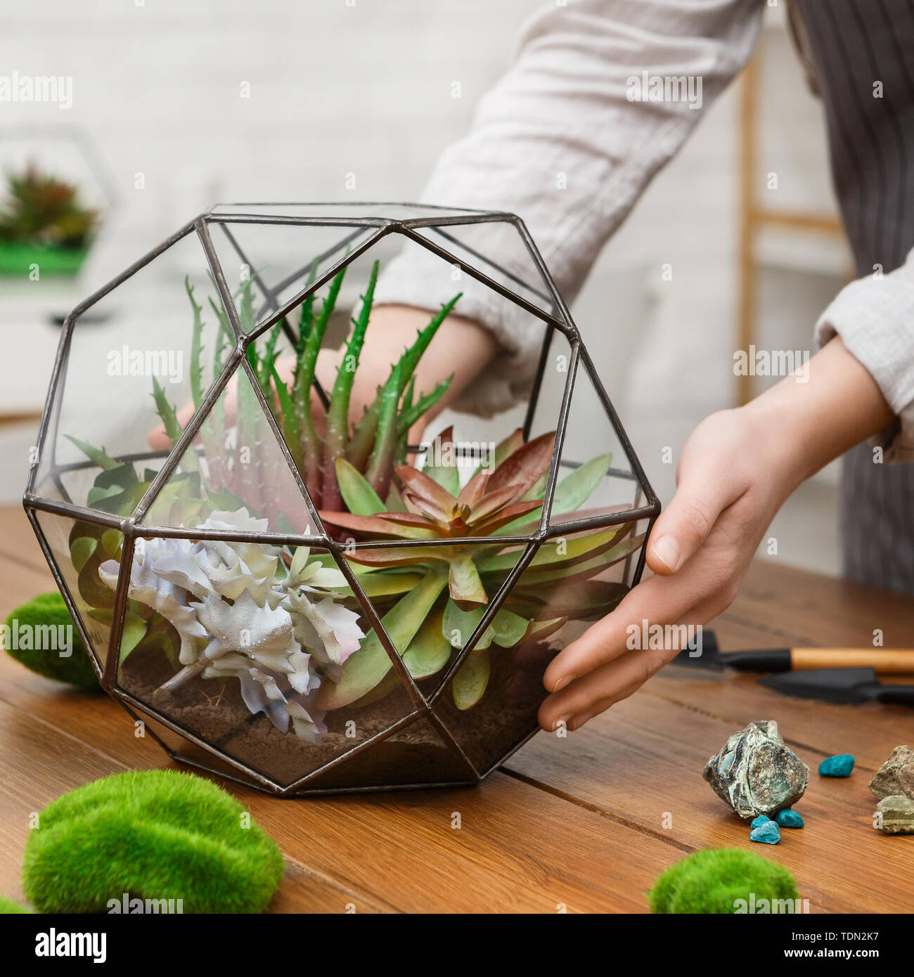Fare il vostro proprio concetto di giardino Foto Stock