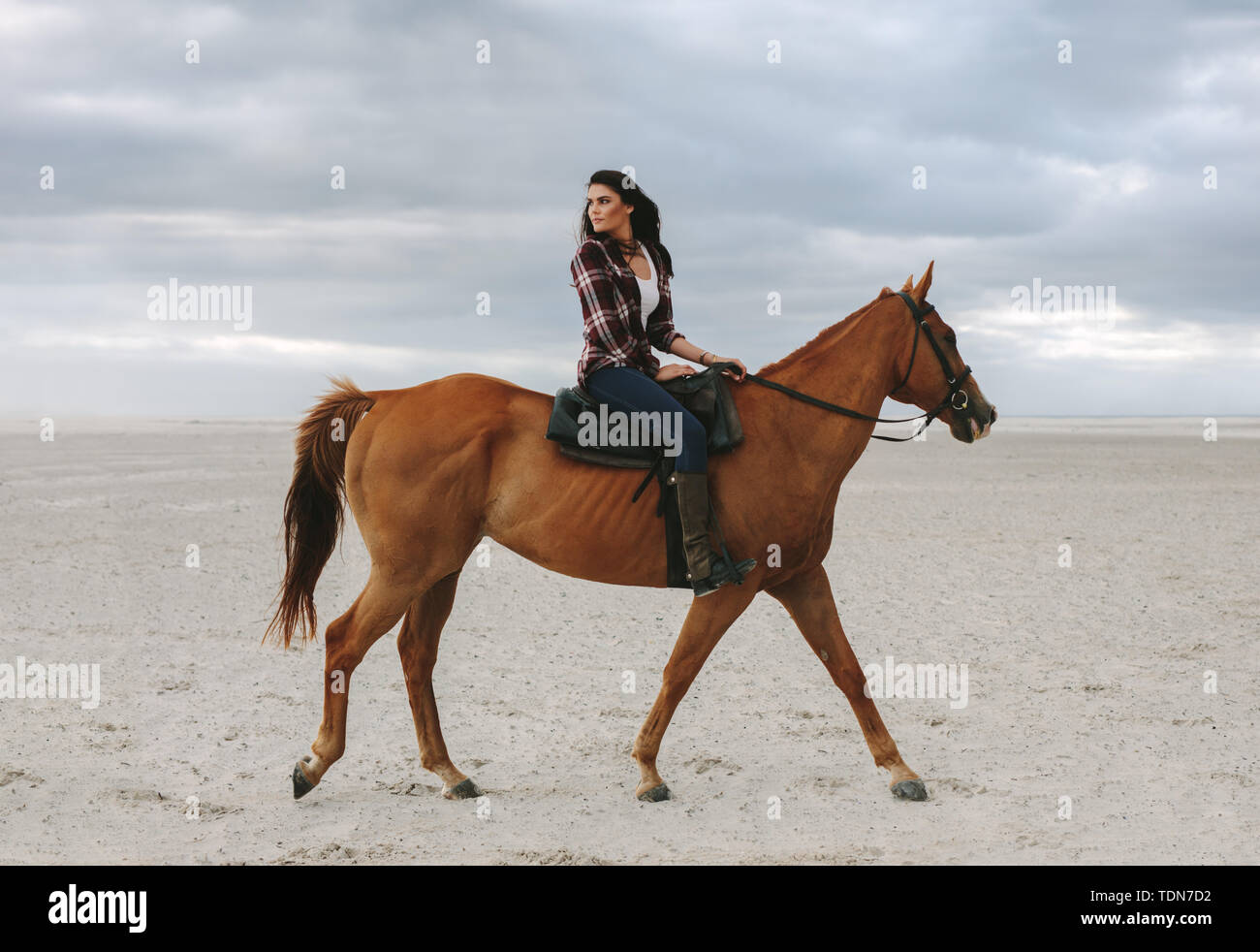 Donna cavallo sulla spiaggia al tramonto e volgendo lo sguardo. Bellissima femmina in sella ad un cavallo marrone in serata. Foto Stock