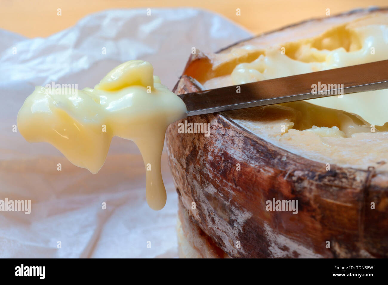 Il Vacherin Mont d'Or, Schweizer Weichkaese, Valle de Joux, Waadtlaender Jura, Schweiz, Europa Foto Stock