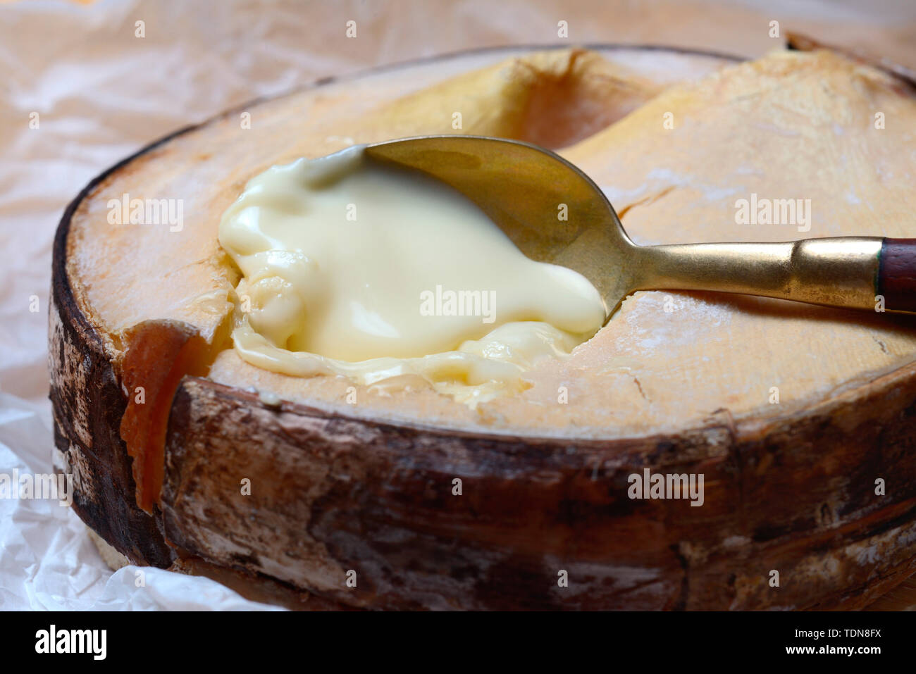 Il Vacherin Mont d'Or, Schweizer Weichkaese, Valle de Joux, Waadtlaender Jura, Schweiz, Europa Foto Stock