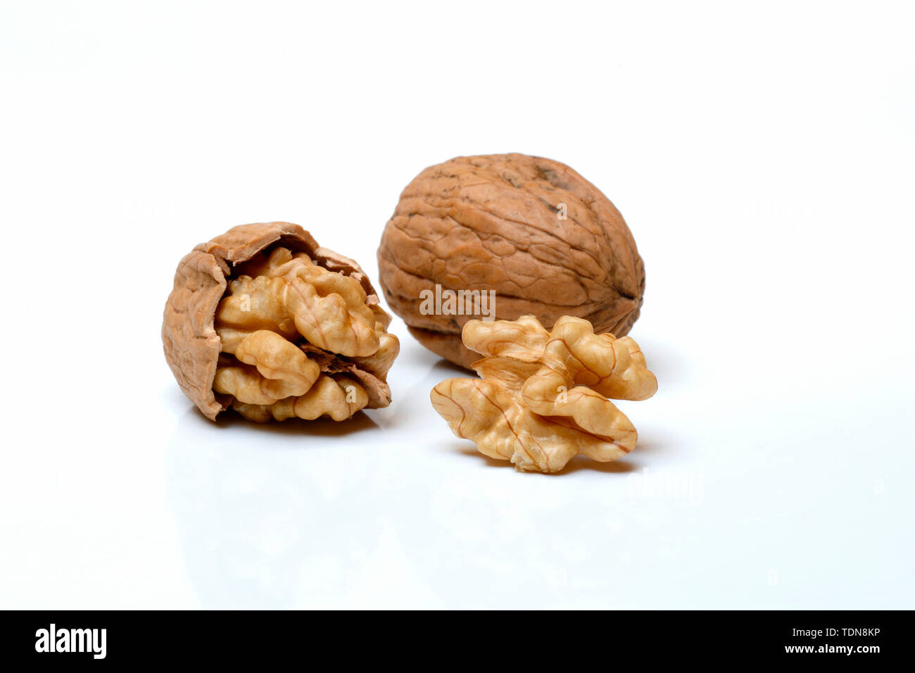 Walnuesse, Juglans regia Foto Stock