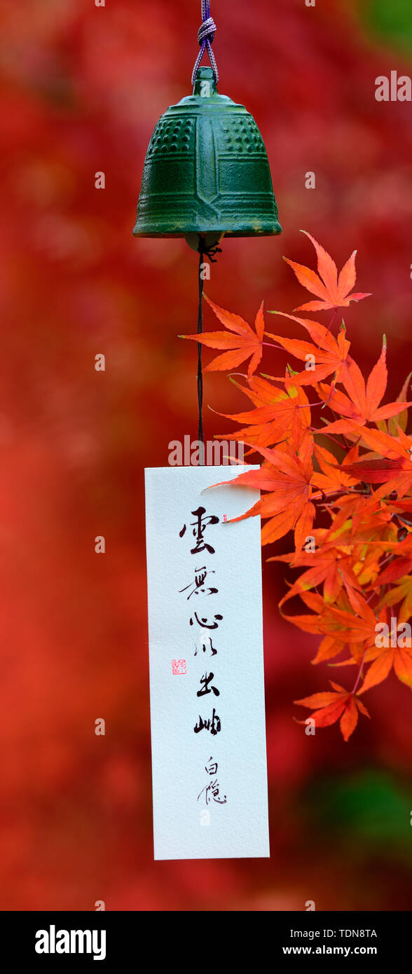 Japanische Windglocke und Ahornblaetter in Herbstfarben, Windglocken, furina, Tempelglocke, Windspiel, Acer palmatum, Papierstreifen Foto Stock