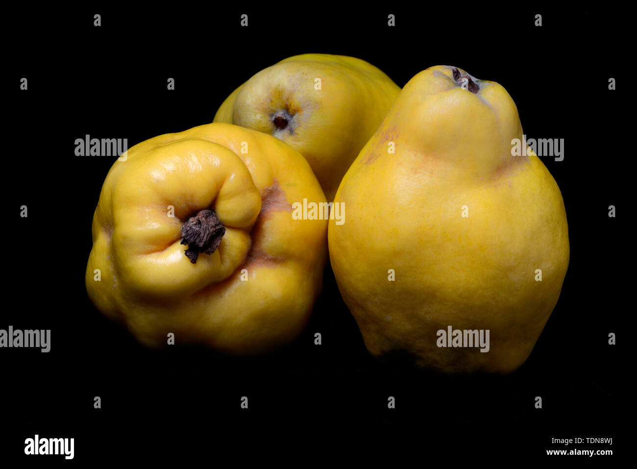 Quitten, Cydonia oblonga Foto Stock