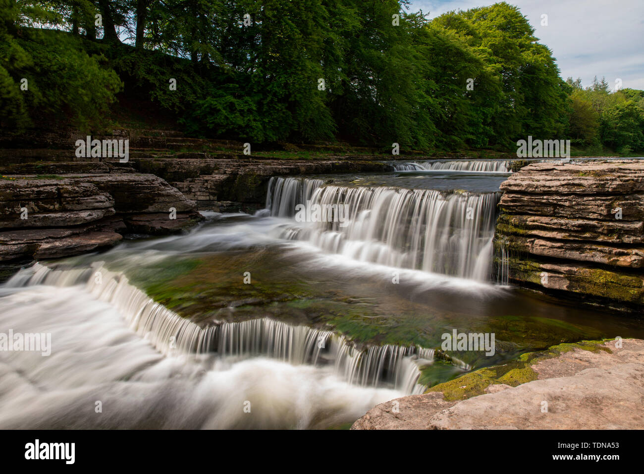 Aysgarth Falls, Yorkshire Dales NP, nello Yorkshire, Regno Unito Foto Stock