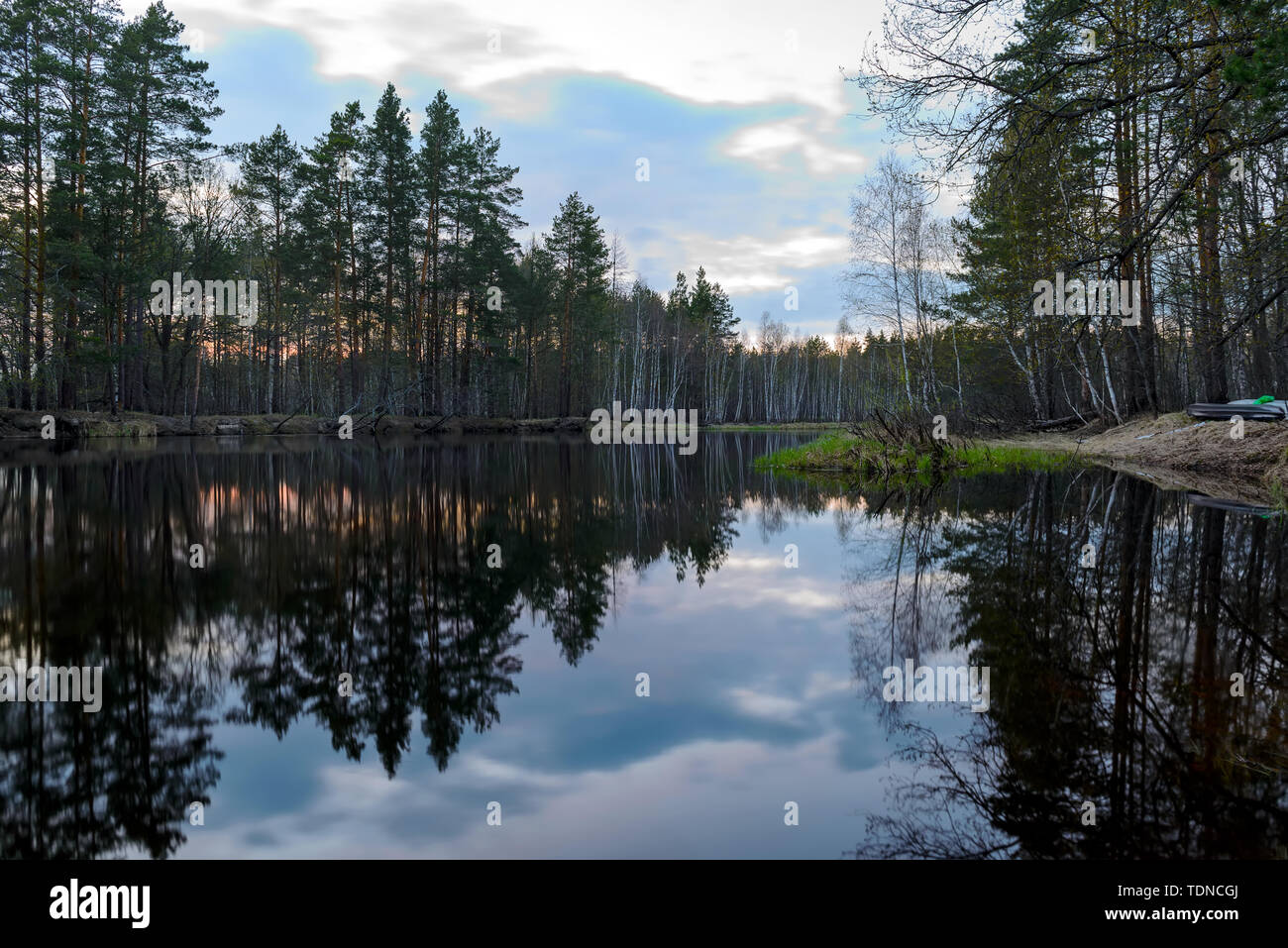 Serata autunnale paesaggio con fiume e un bellissimo albero. Fiume Pra nella Regione di Ryazan Foto Stock