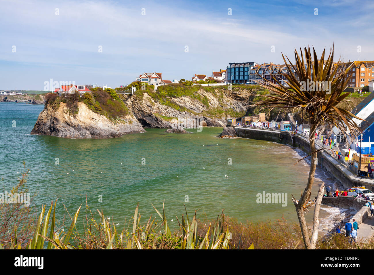 Affacciato su Towan Beach a Newquay Cornwall Inghilterra UK Europa Foto Stock