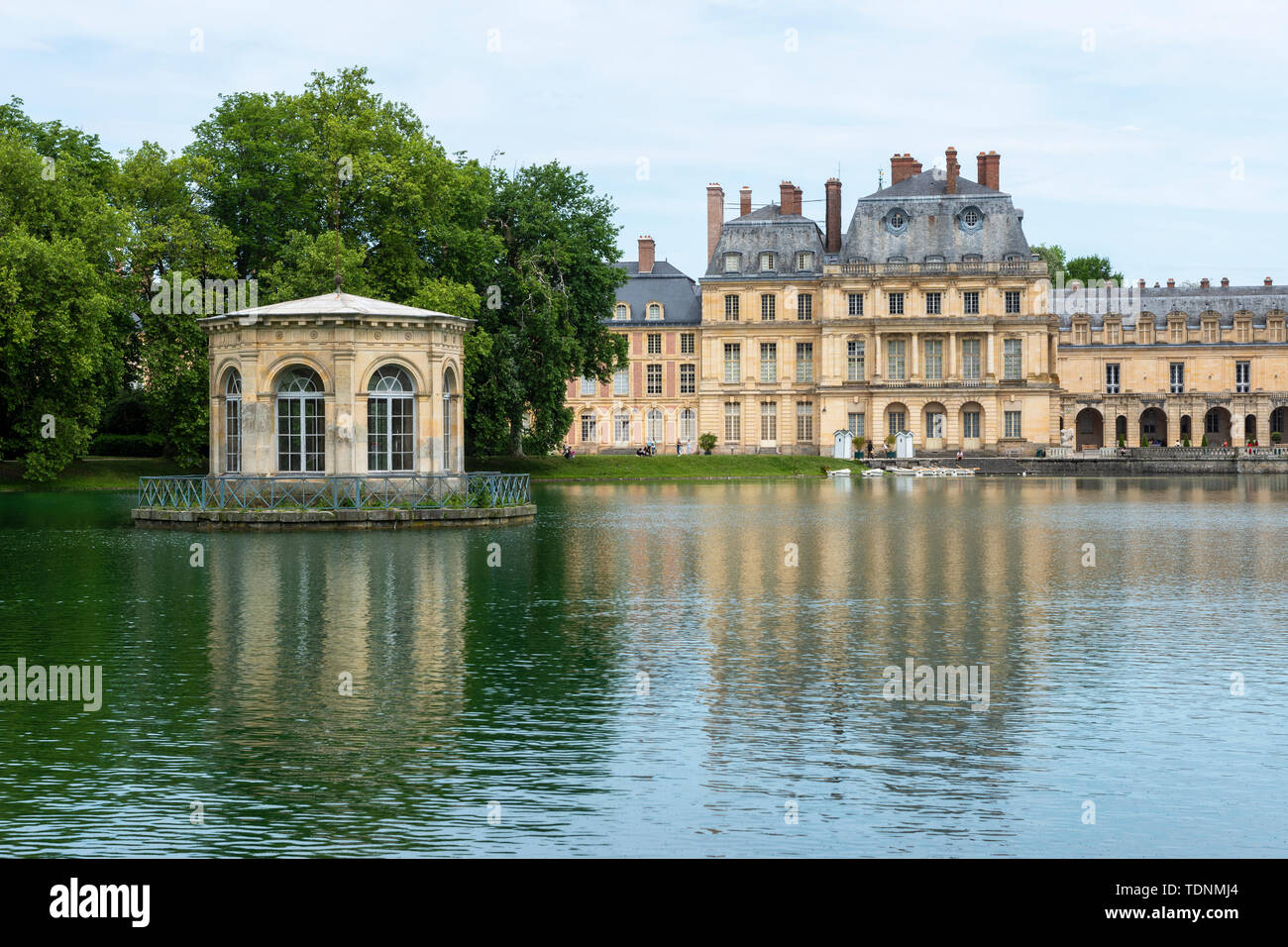 Carp Pond presso il Château de Fontainebleau, Seine-et-Marne, regione di Île-de-France di Francia Foto Stock