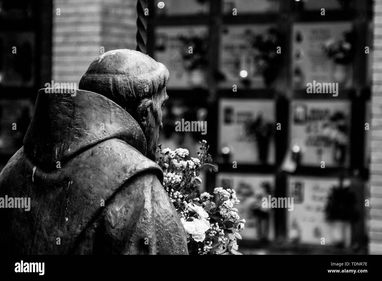 Statua posteriore di un frate tenendo un mazzo di fiori nel cimitero di Parma. In lontananza sono le lapidi delle tombe. Foto Stock