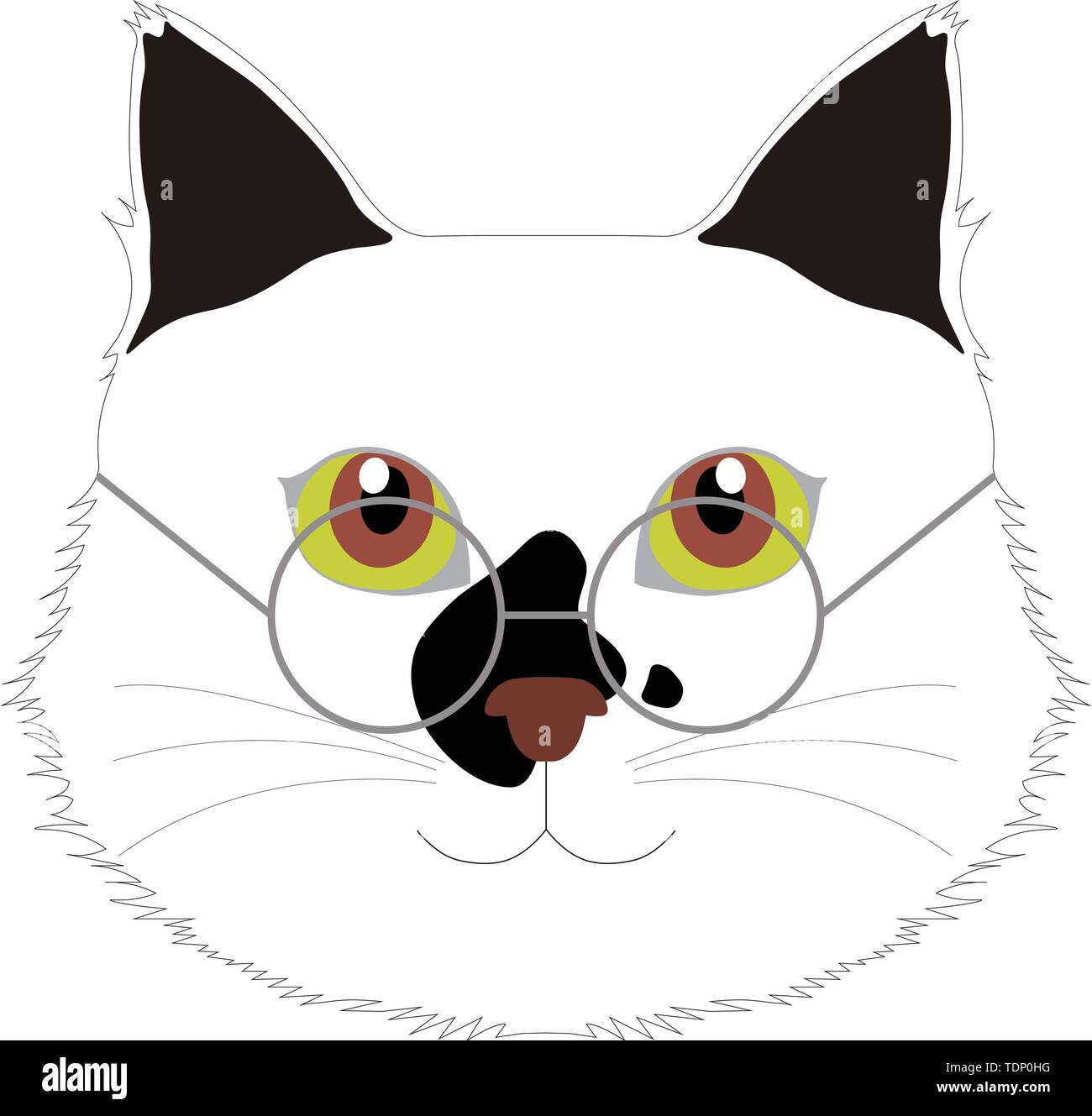 Gatto con occhiali, computer grafica, CG, vettore di vettori Foto Stock
