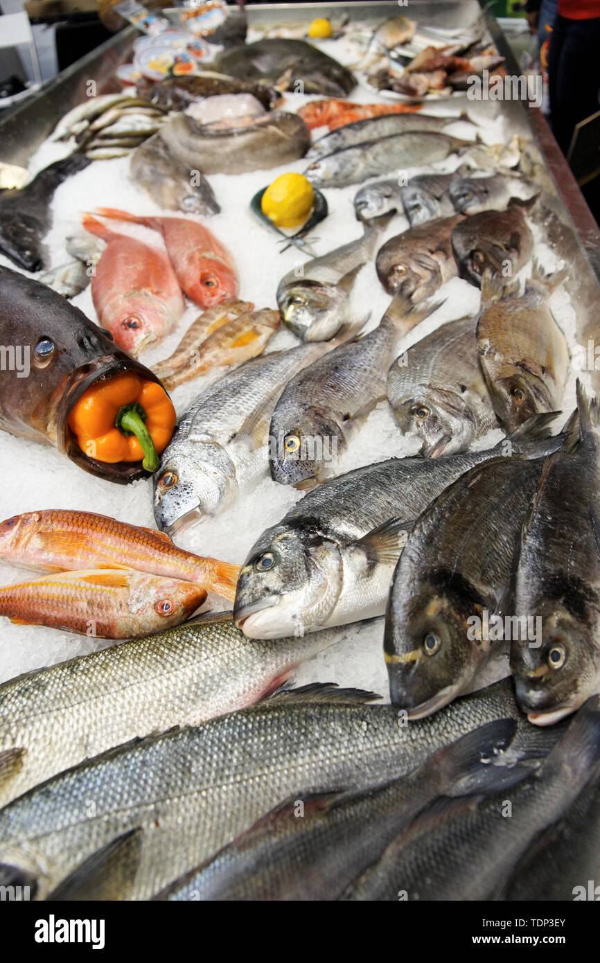 Grande varietà di pesci e frutti di mare sul mercato del pesce display Foto Stock