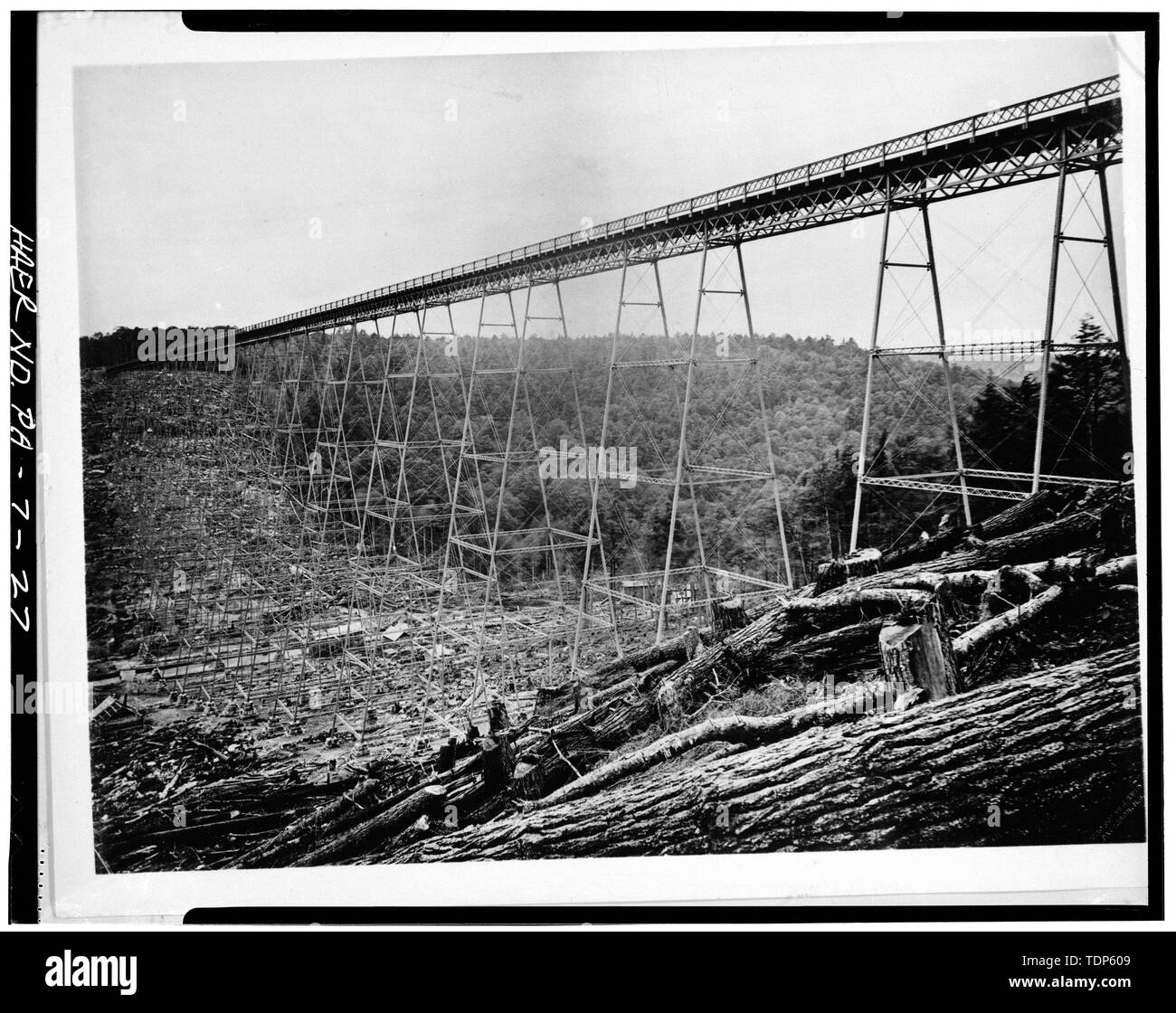 Fotocopiata 1982 da Erie Azienda ferroviaria file. KINZUA ORIGINALE viadotto, prima del 1900 la ricostruzione - Ferrovia Erie, Divisione di Bradford, ponte 27.66, Spanning Kinzua Creek Valley, 1.5 miglia a nordest di Kushequa, Mount Jewett, McKean County, PA; Kinzua Bridge - ex Erie Railroad bridge spanning Kinzua Creek Valley, in McKean County, Pennsylvania. Immagine (c.1890s): HAER-storico di ingegneria americana di registrare immagini di Pennsylvania. Foto Stock