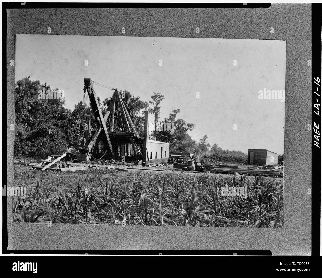 Fotocopia della c. 1906 fotografia di dragaggio di macchina che mantiene i canali di scolo a valle di alloro. - La Valle di alloro piantagione di zucchero, State Route 308, Thibodaux, parrocchia di Lafourche, LA; Barker, Frank; Boudreaux, Etienne; De alesaggio, Etienne; Knobloch, argilla; Lepine, J Wilson; Lepine, Wilson; Tucker, Giuseppe; Tucker, George Washington; Tucker, Giuseppe Pennington; Tucker, Caleb Tucker, William P; Wormald, Burch un; Lowe, Jet; Leslie, Paolo Foto Stock