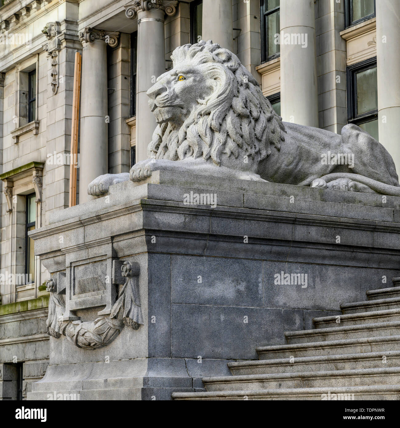 Lion statua al di fuori di Vancouver Art Gallery accanto a passi; Vancouver, British Columbia, Canada Foto Stock