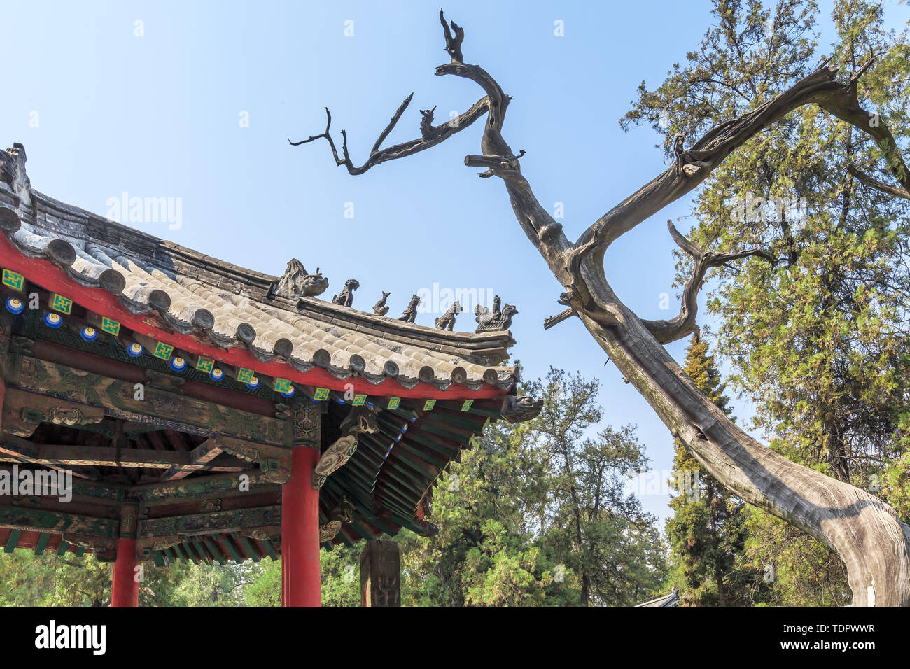 Antico albero pavilion di Yan tempio, Qufu, Provincia di Shandong Foto Stock