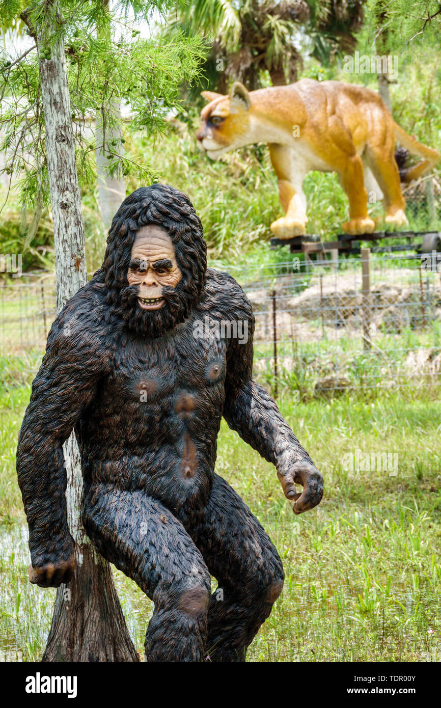 Florida,Ochopee,Everglades,Tamiami Trail,Skunkape Skunk Ape Research Headquarters,attrazione sulla strada,oddità,creatura mitica,scultura,pantera,visita Foto Stock