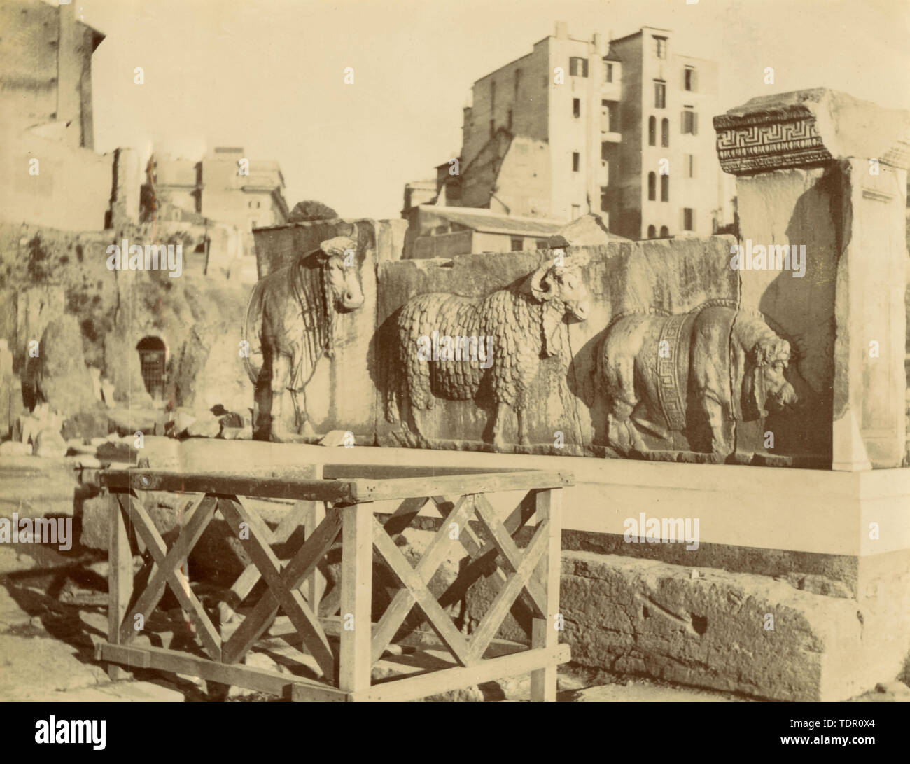 Antico bassorilievo romano di animali addomesticati, Roma, Italia 1890 Foto Stock