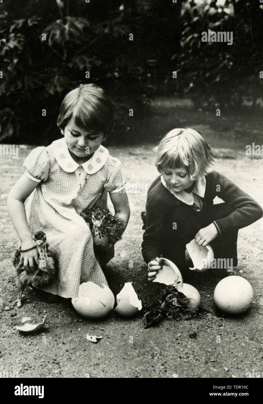 Bambino ragazze con neonato struzzi, Italia 1940 Foto Stock
