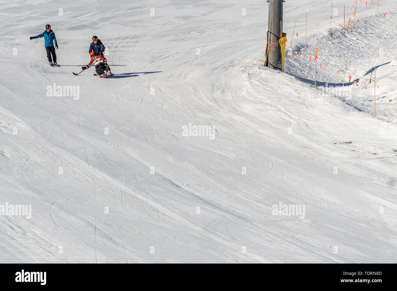 KIMBERLEY, CANADA - 22 MARZO 2019: Persona portatore di handicap che guida un sit-ski Vancouver Adaptive Snow Sports. Foto Stock