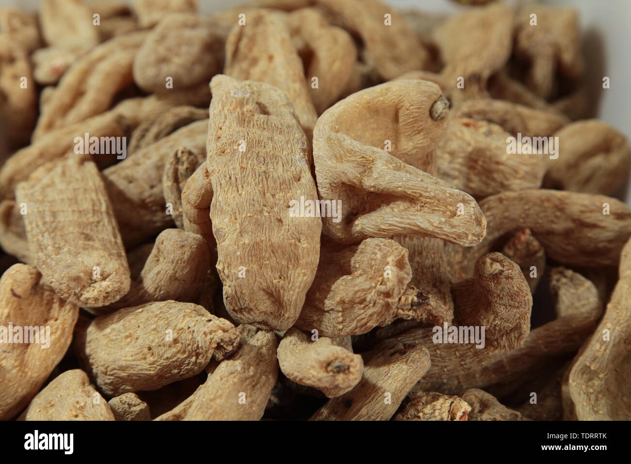 Gastrodia artemisiae Foto Stock