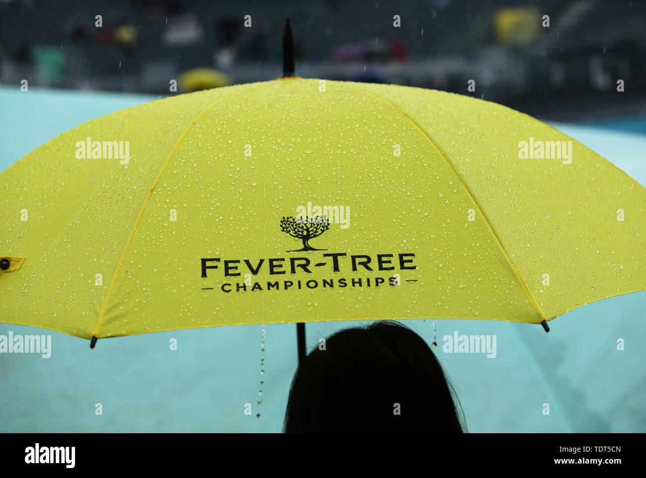 Londra, Regno Unito. Il 18 giugno, 2019. Londra, Inghilterra - 18 giugno: pioggia consente di interrompere la riproduzione durante il giorno 2 dell'Fever-Tree campionati a Queens Club a giugno 18, 2018 a Londra, Regno Unito. Credit: Azione Foto Sport/Alamy Live News Foto Stock
