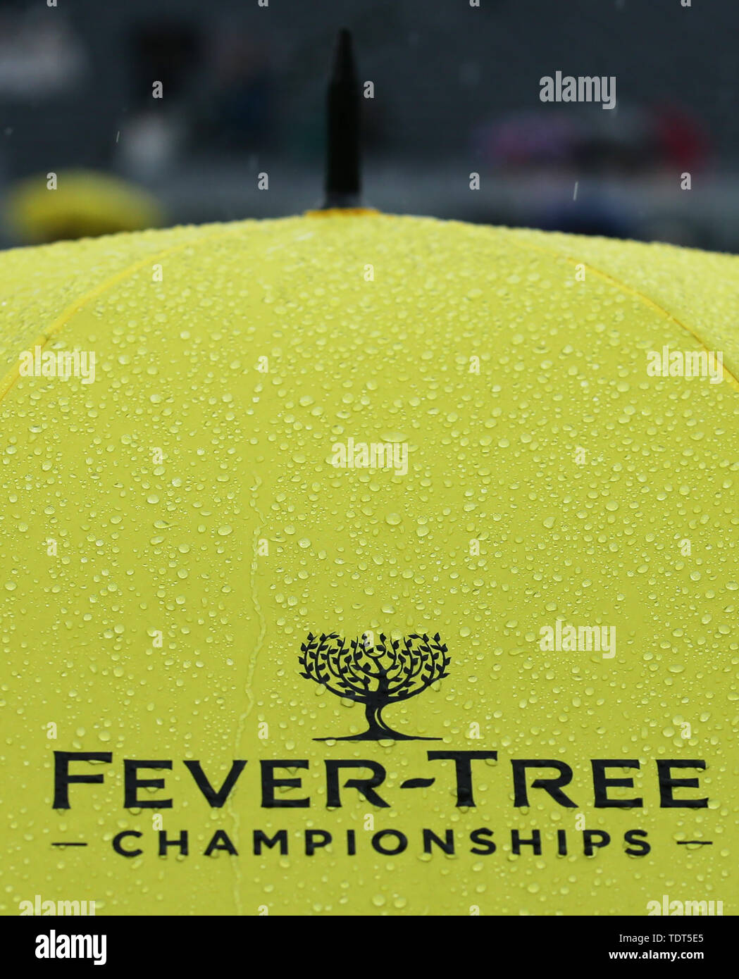 Londra, Regno Unito. Il 18 giugno, 2019. Londra, Inghilterra - 18 giugno: pioggia consente di interrompere la riproduzione durante il giorno 2 dell'Fever-Tree campionati a Queens Club a giugno 18, 2018 a Londra, Regno Unito. Credit: Azione Foto Sport/Alamy Live News Foto Stock