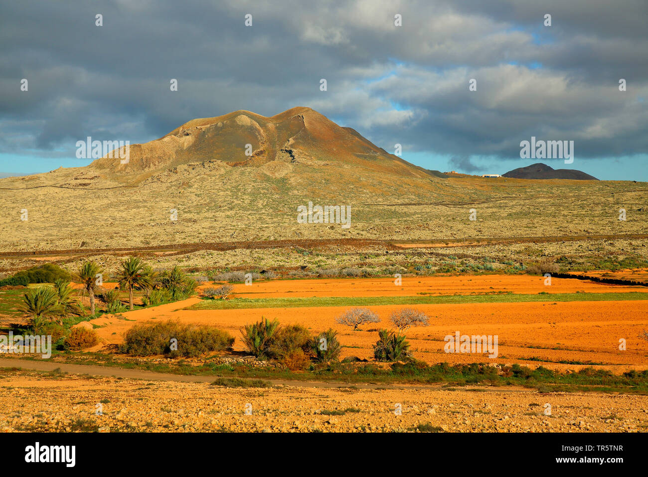 Paesaggio culturale presso il parco di natura Malpais de la Arena, Isole Canarie Fuerteventura, La Olivia Foto Stock
