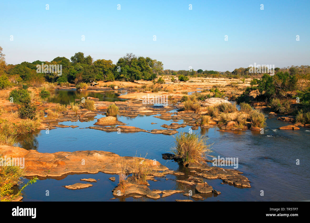 Sabie River, Sud Africa - Mpumalanga Kruger National Park Foto Stock