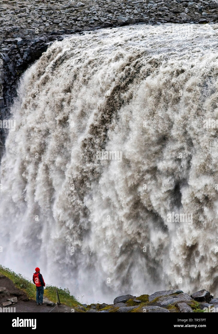 Cascata di Dettifoss e turistico, Islanda, Vatnajoekull, Dettifoss Foto Stock