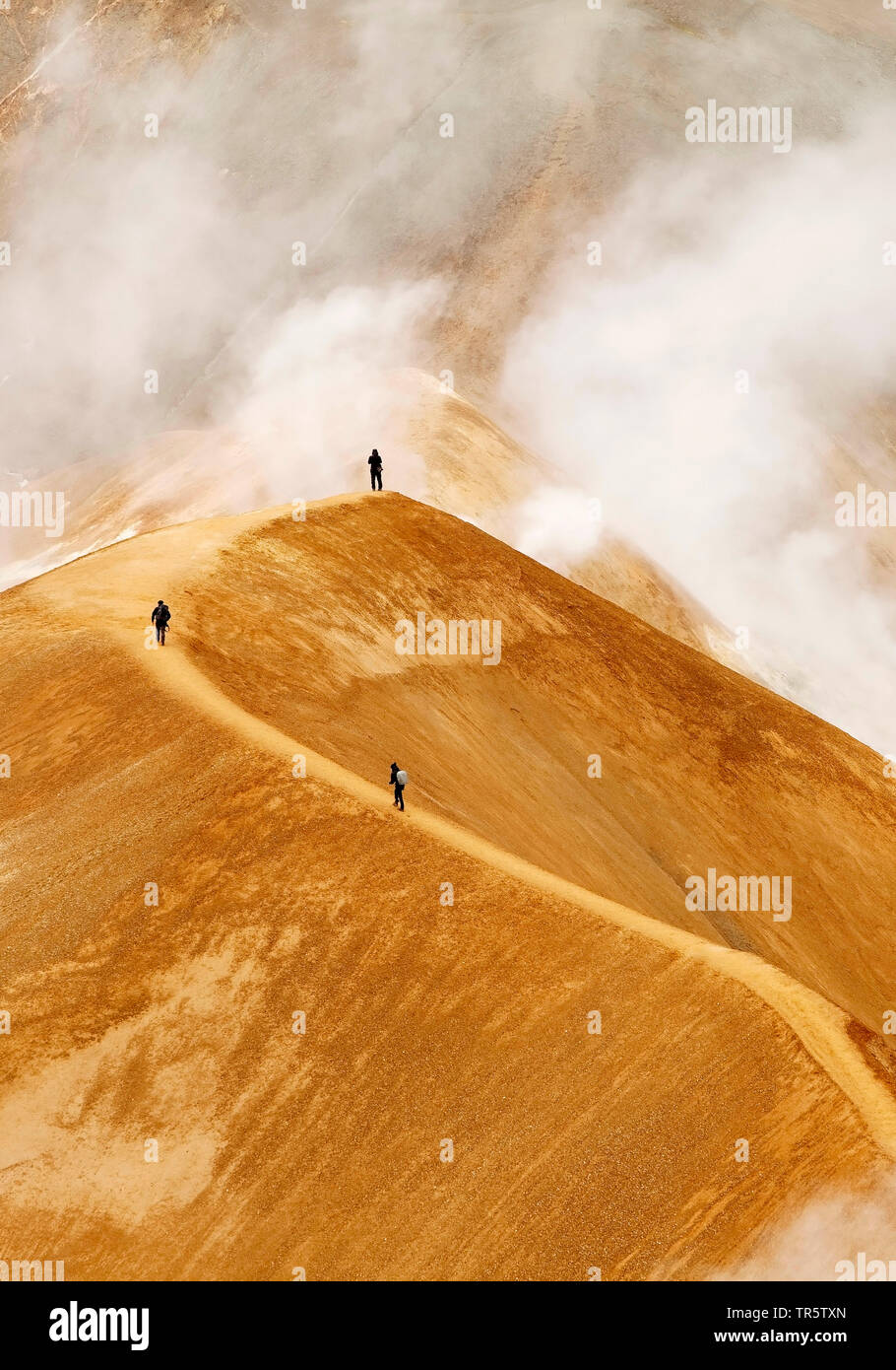 Wanderer tra sorgenti calde e Rhyolithe montagne in Hveradalir area geotermica , Islanda, Kerlingarfjoell Foto Stock