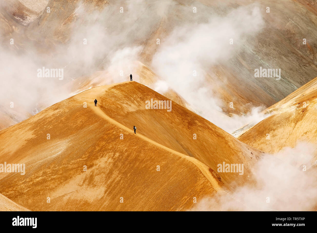 Wanderer tra sorgenti calde e Rhyolithe montagne in Hveradalir area geotermica , Islanda, Kerlingarfjoell Foto Stock