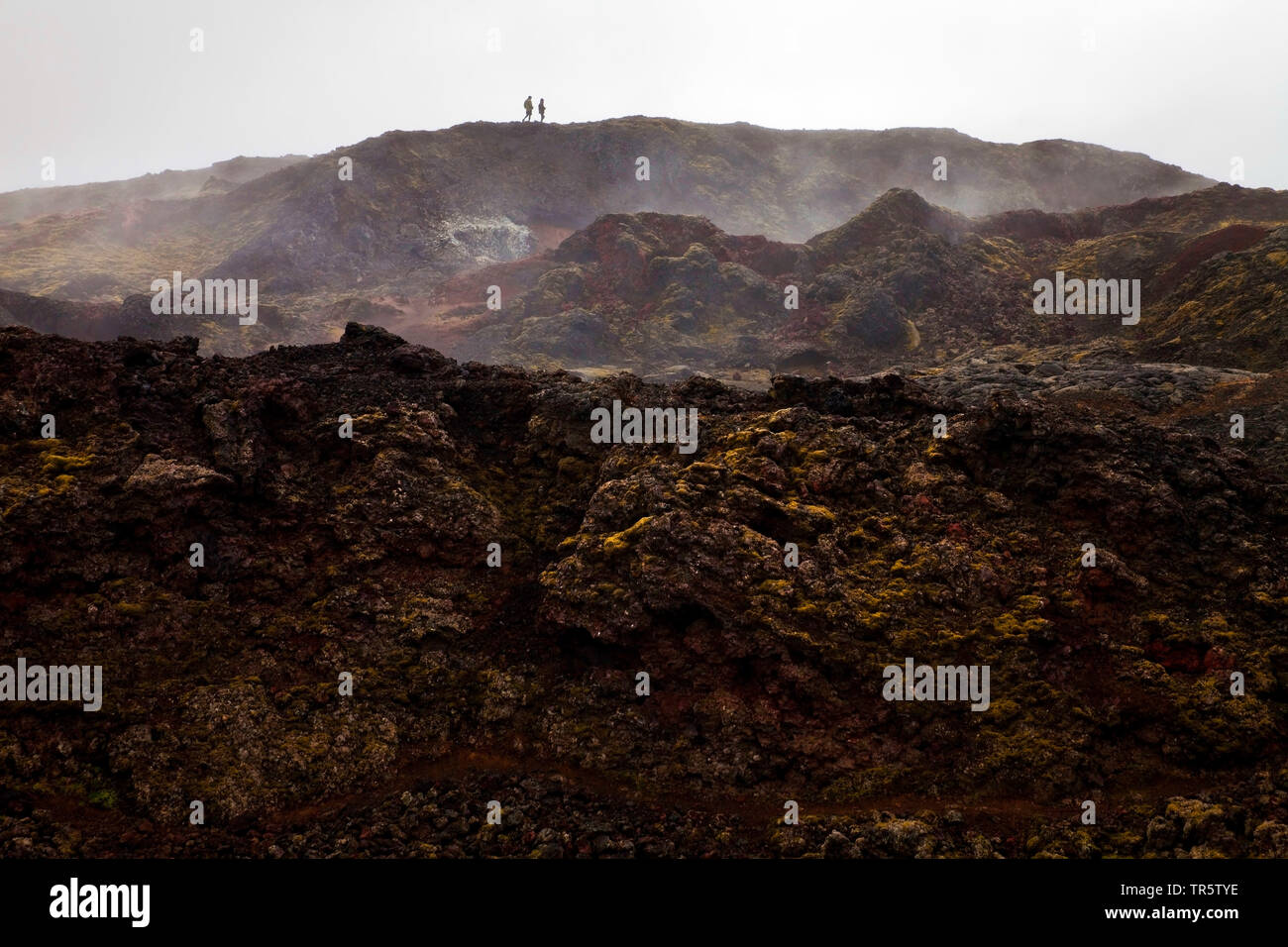 I turisti al vulcano Krafla, Islanda, Krafla Foto Stock