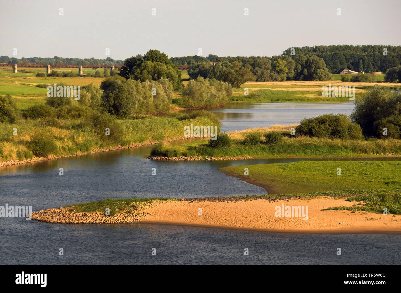 Elbe Valley Prati vicino a Doemitz, Germania, Bassa Sassonia, Biosphaerenreservat Niedersaechsische Elbtalaue Foto Stock