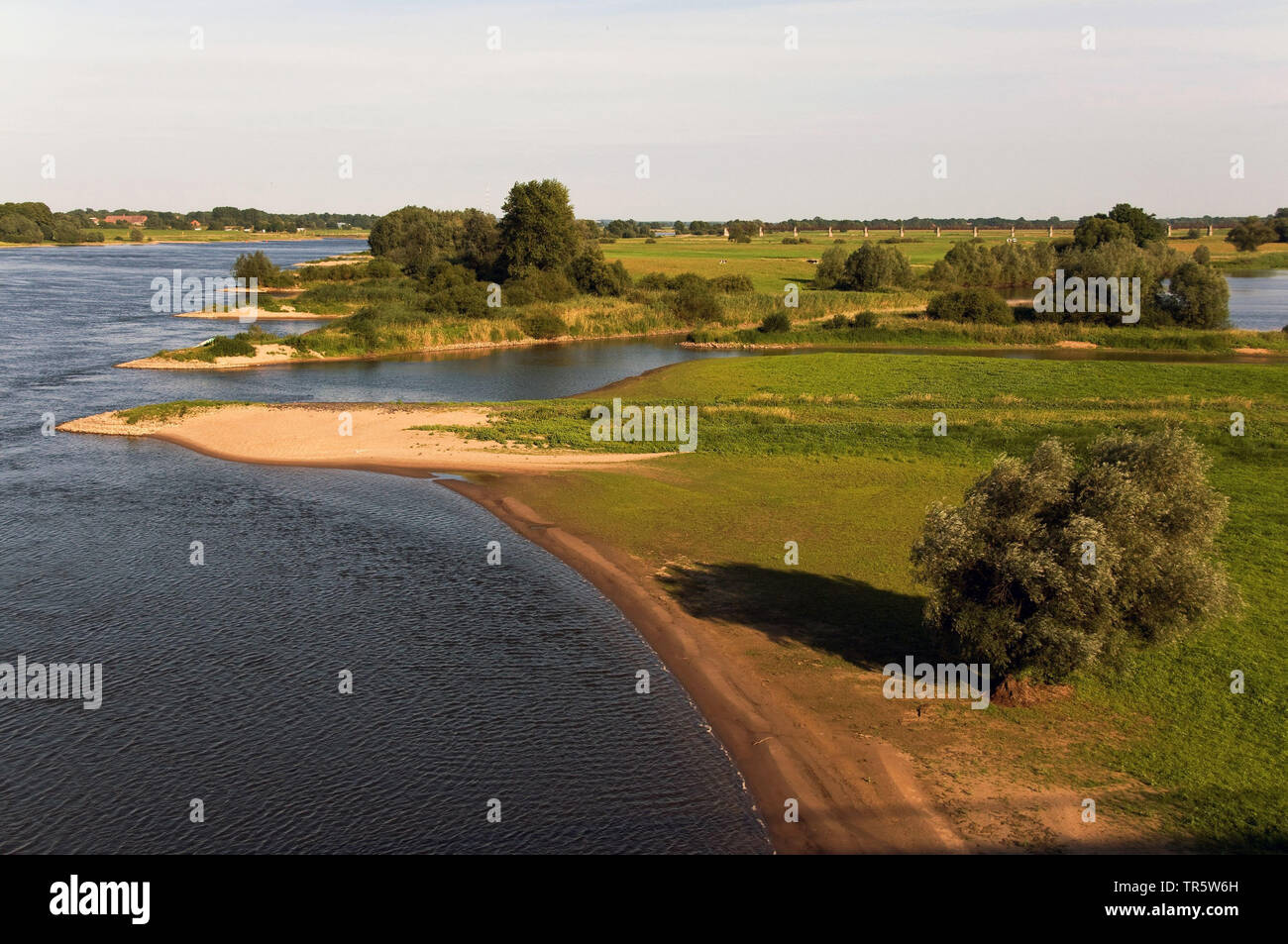 Elbe Valley Prati vicino a Dannenberg, Germania, Bassa Sassonia, Biosphaerenreservat Niedersaechsische Elbtalaue Foto Stock