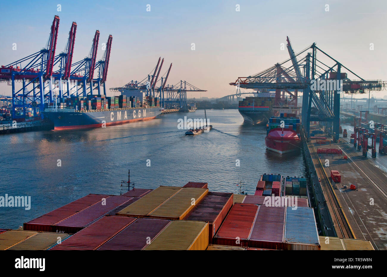 Eurokai terminale e terminale HHLA Burchardtkai con navi container nel porto di Amburgo, Germania, Amburgo Foto Stock