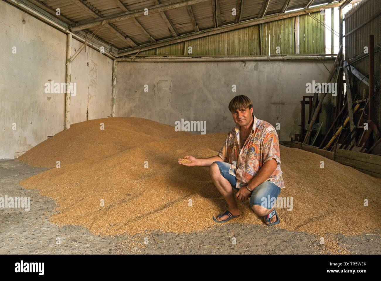 Pasto raccolto in Delacau, appena battuto in un granaio, Moldavia, Delacau Foto Stock