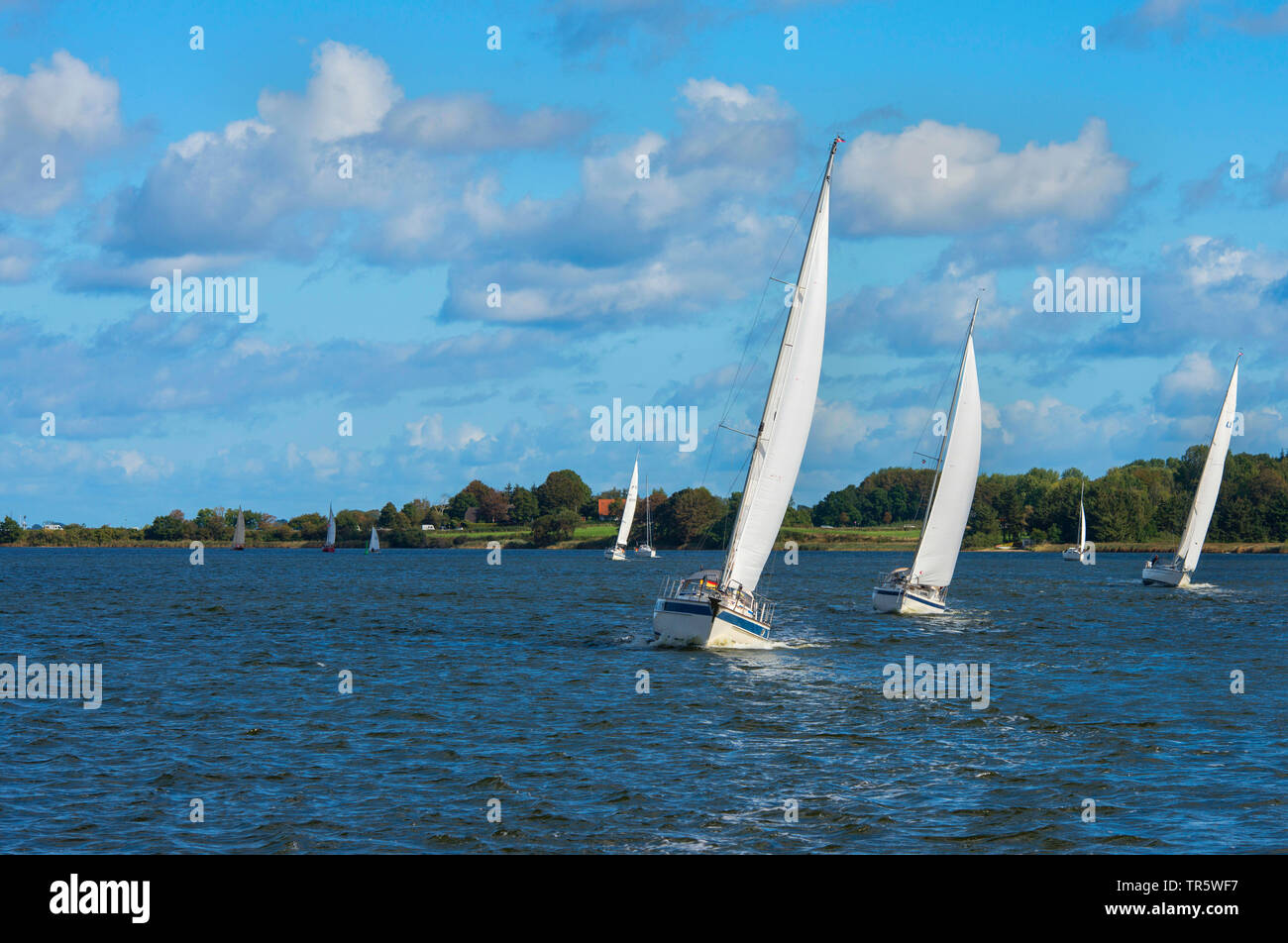 Barche a vela ingresso Schlei tra Lindaunis e Missunde, Germania, Schleswig-Holstein Foto Stock