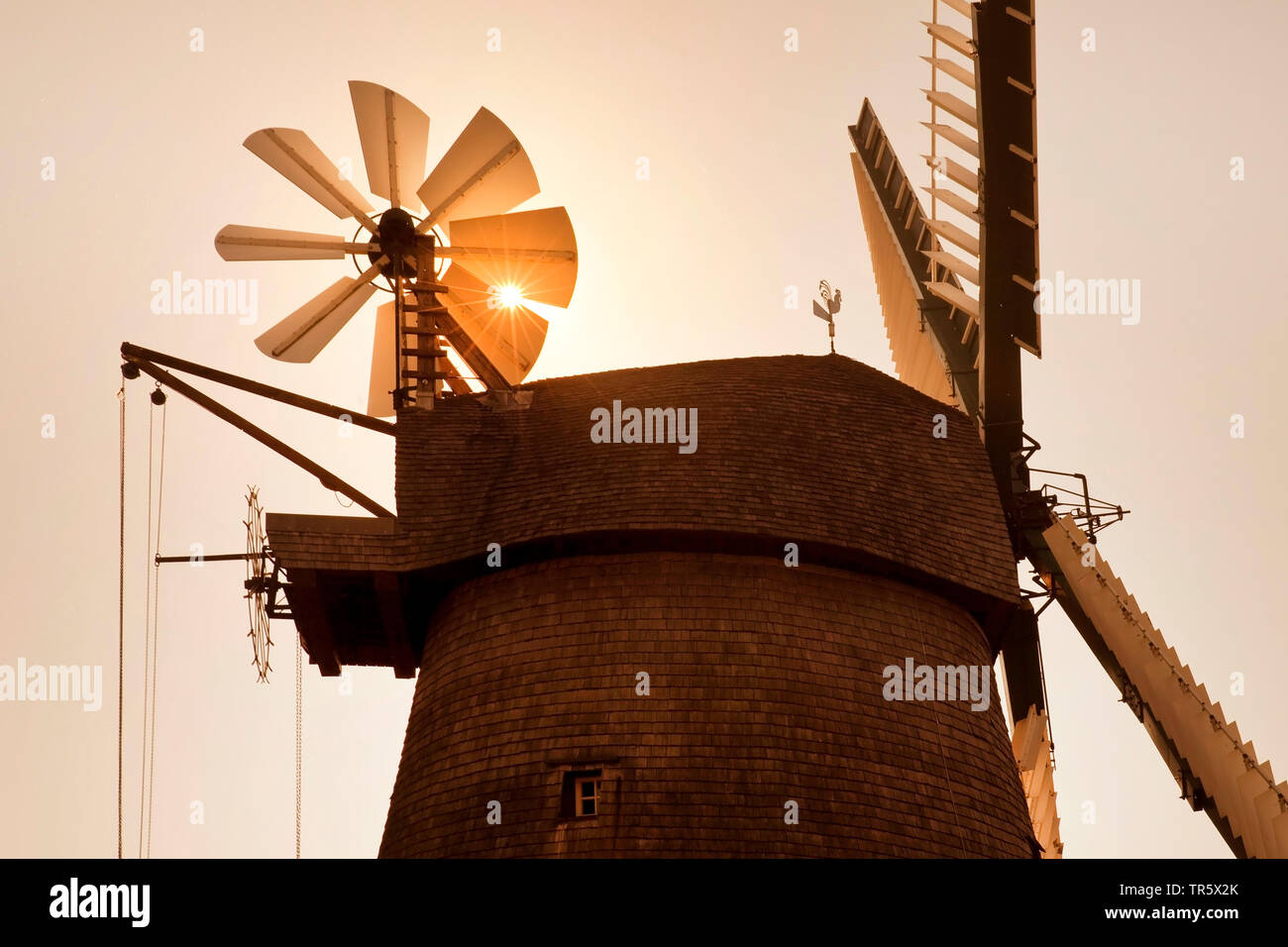 Mulino a vento Exter con casa in legno Muehlenblick nel sole di sera, in Germania, in Renania settentrionale-Vestfalia, East Westfalia, Vlotho Foto Stock